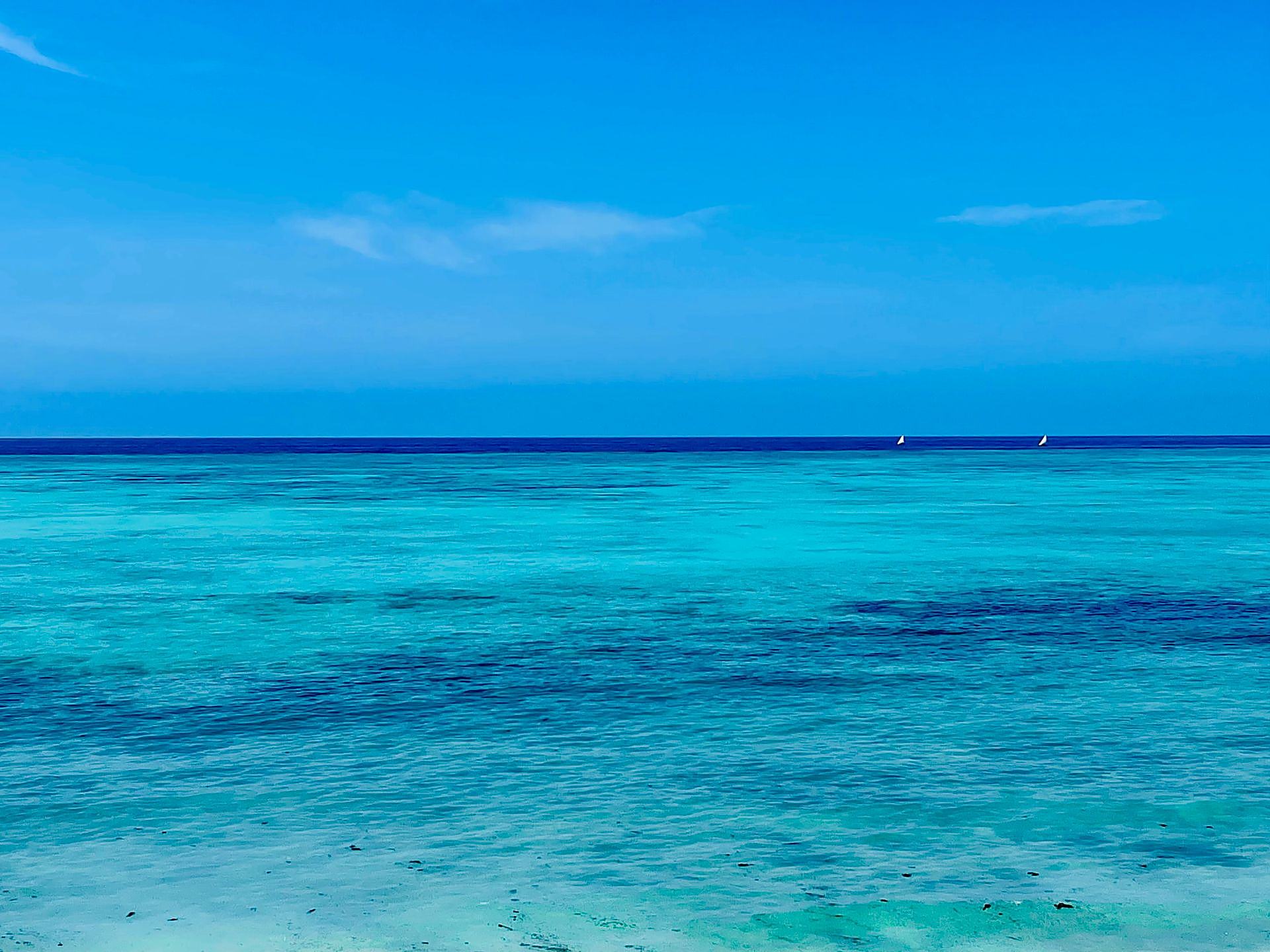 Palm beach and turquoise lagoon at Kiwengwa, Zanzibar